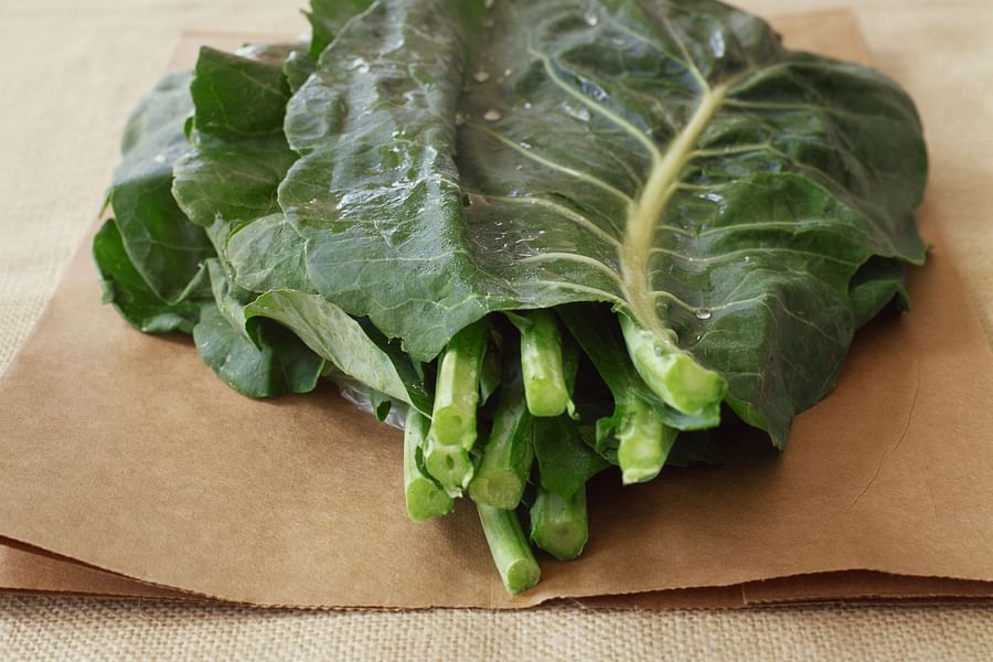 collard greens for bearded dragons