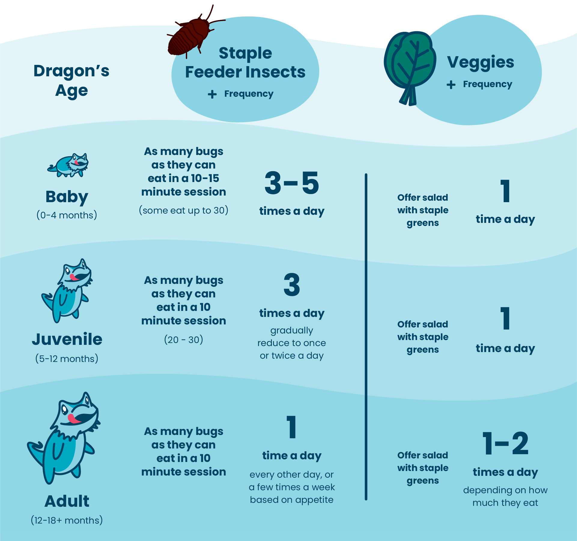 Complete Bearded Dragon Diet Plan 2026: New Research on Nutritional Requirements and Feeding Schedules