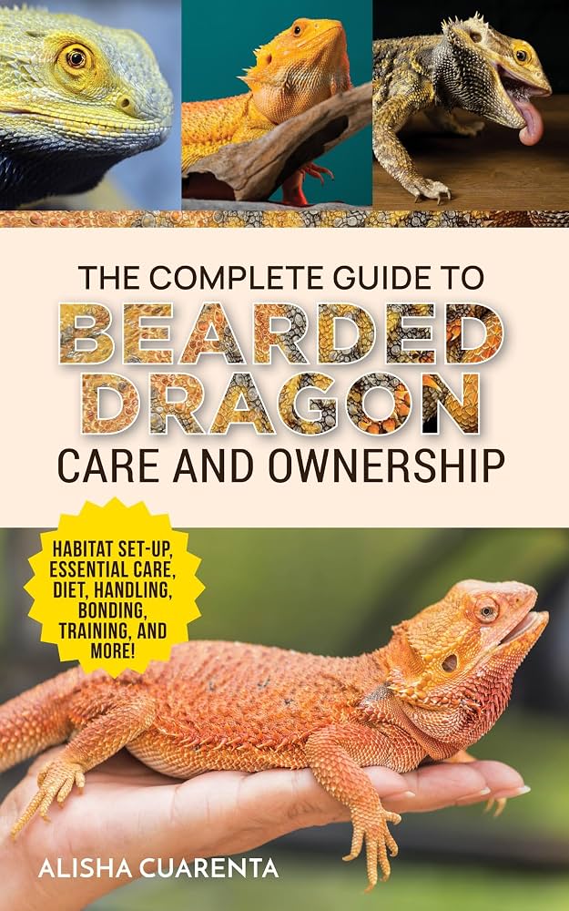 Bearded Dragon Care upgrade