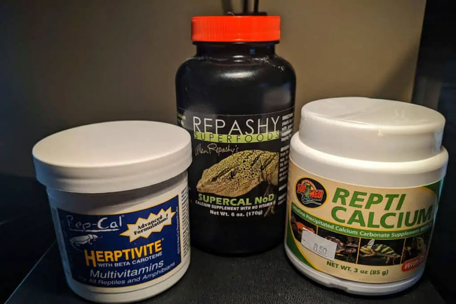 bearded dragon supplements