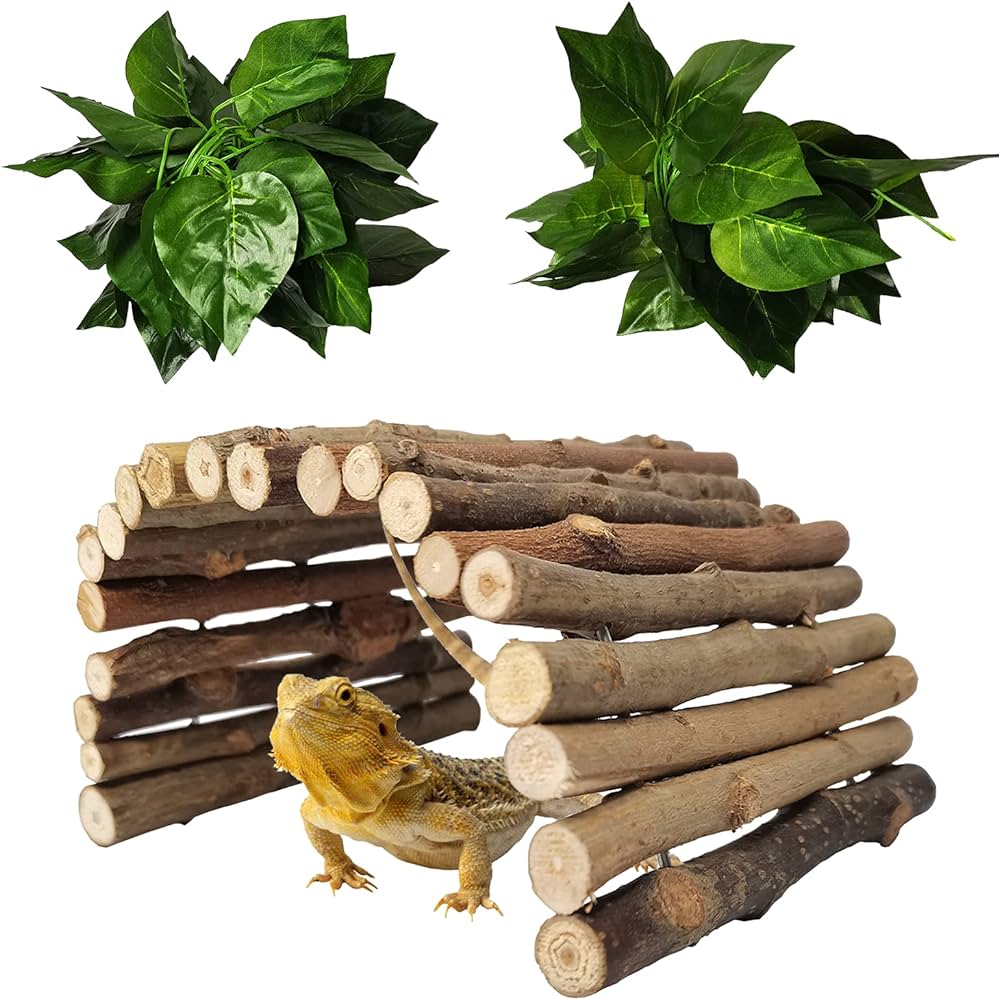 bearded dragon hideaway