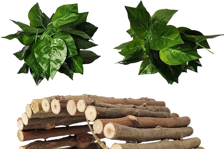 bearded dragon hideaway