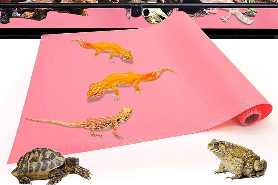 bearded dragon tank substrate