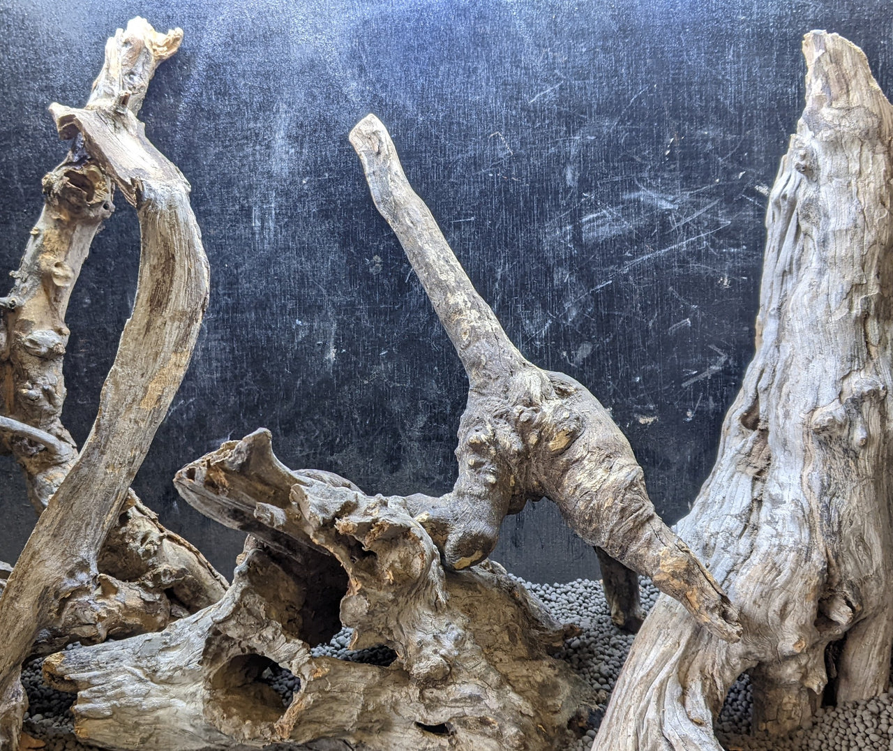 driftwood branches for reptile tank