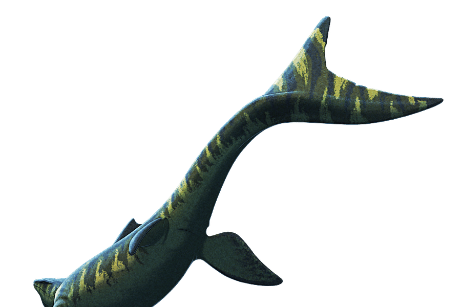 reptile tank background Jurassic theme