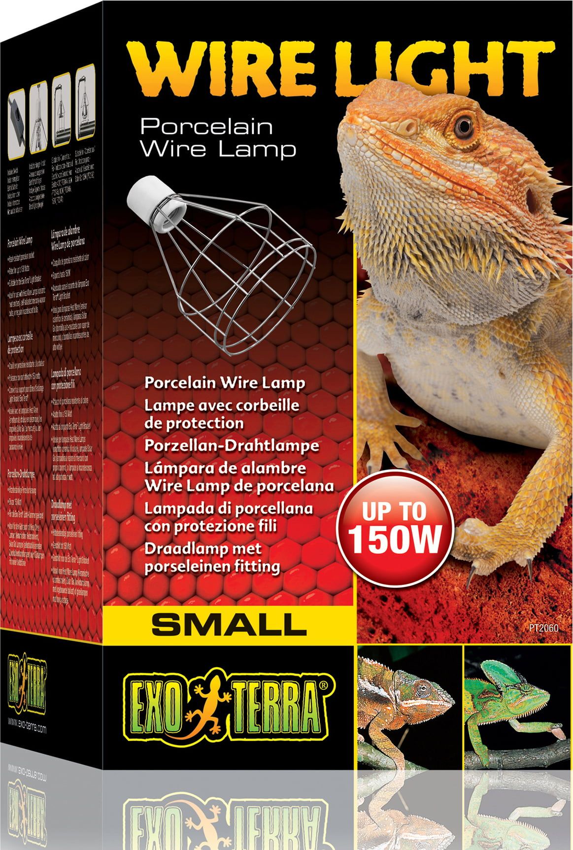 bearded dragon basking light