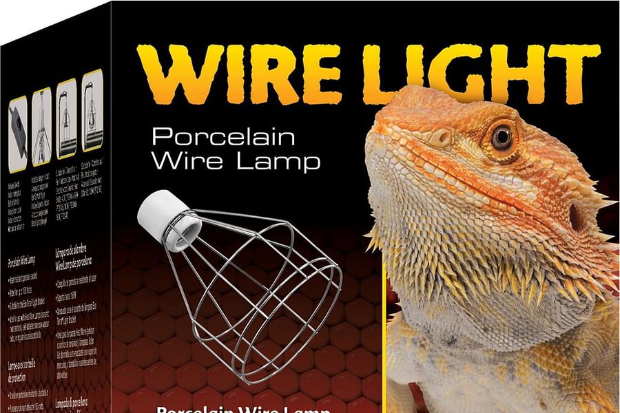 bearded dragon basking light