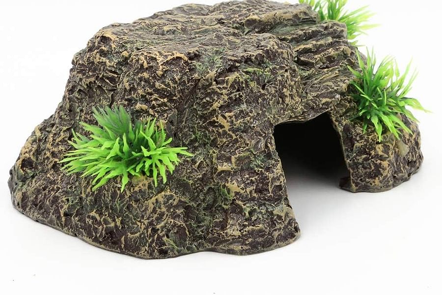 bearded dragon tank decor