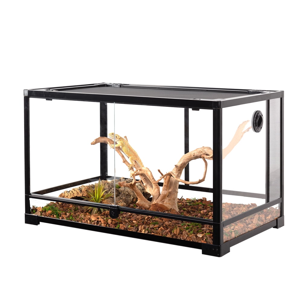 bearded dragon terrarium 40 gallon