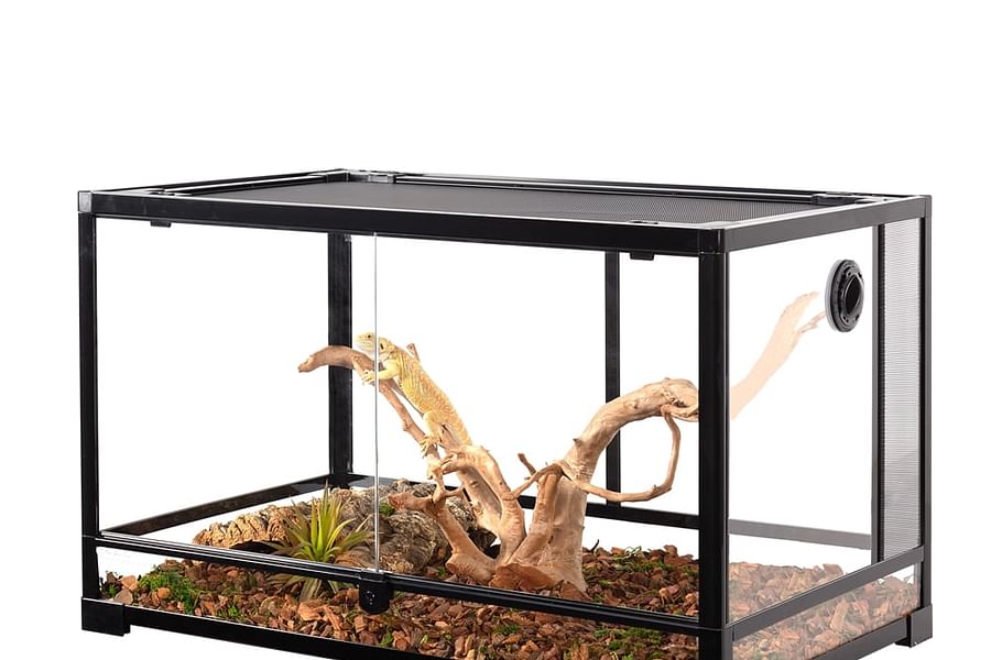 bearded dragon terrarium 40 gallon