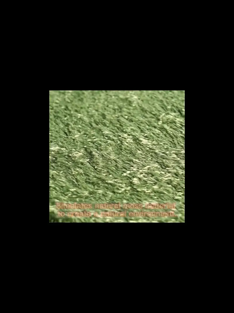 reptile carpet for bearded dragons