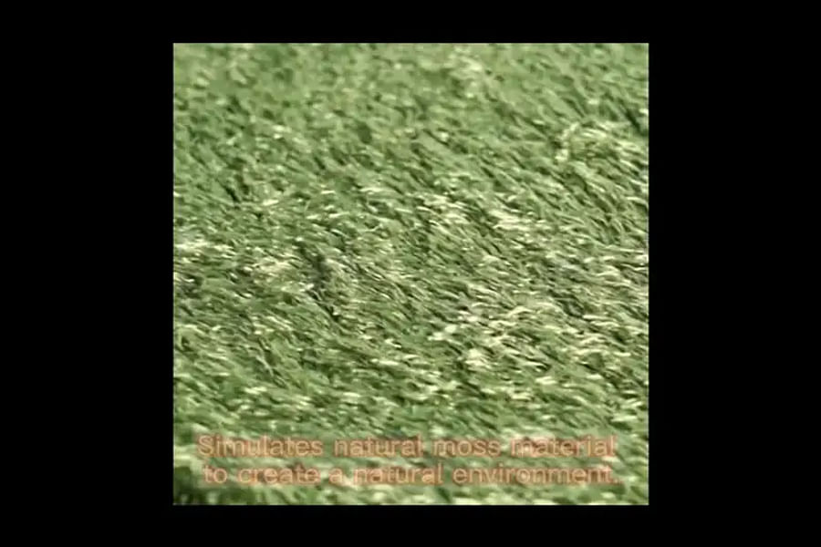 reptile carpet for bearded dragons