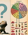 The Bearded Dragon Diet Debate: Can Bearded Dragons Eat Meat Other Than Insects?
