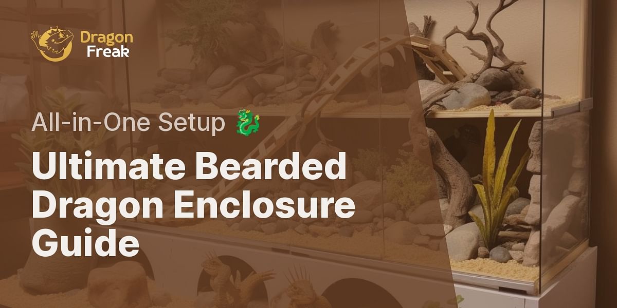 A Comprehensive Guide to Bearded Dragon Enclosure Size, Setup, and