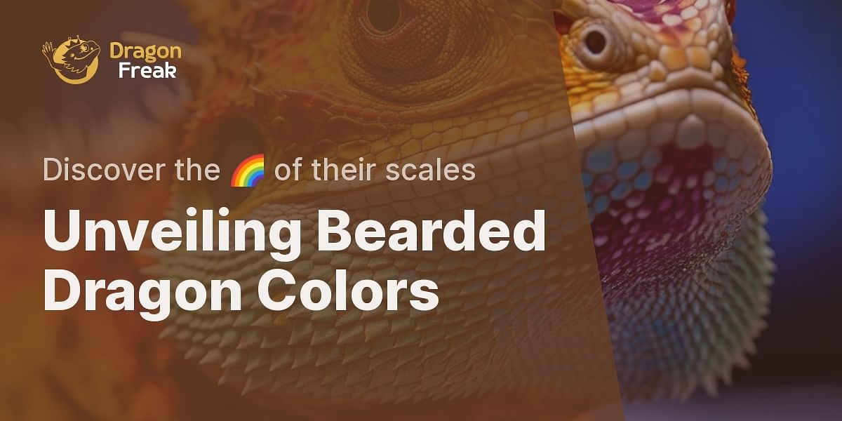 Decoding the Color Spectrum The Meaning Behind Different Bearded