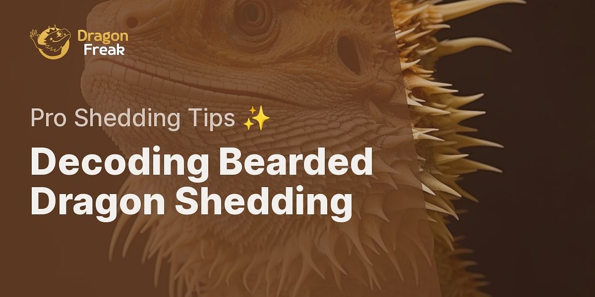 Shedding Light on Bearded Dragon Care How Often Should they Shed?