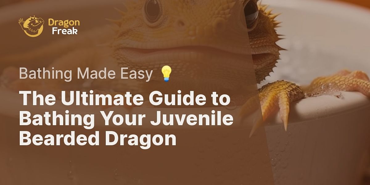 How can I bathe my juvenile bearded dragon?