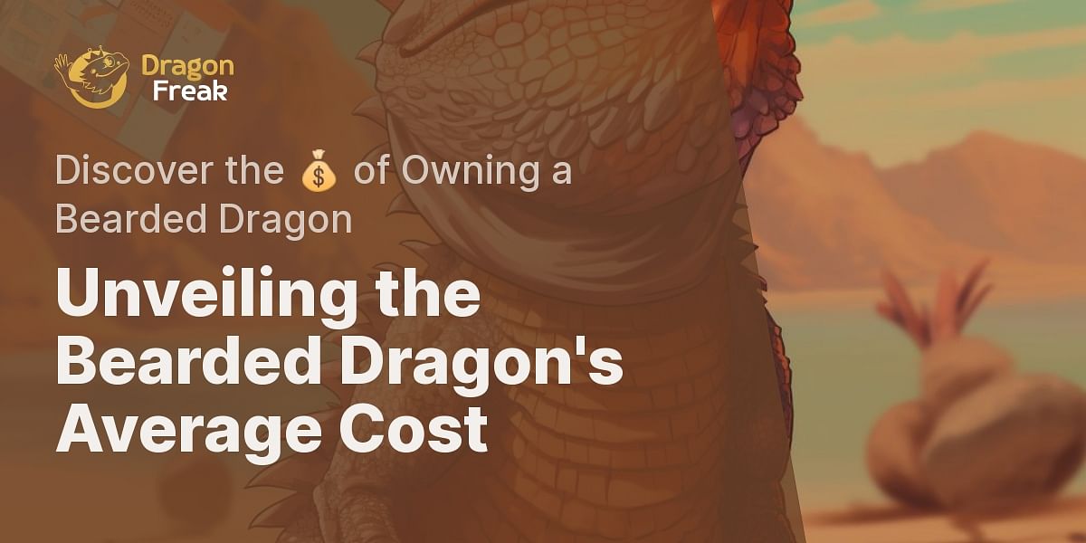What is the average cost of a Bearded Dragon?