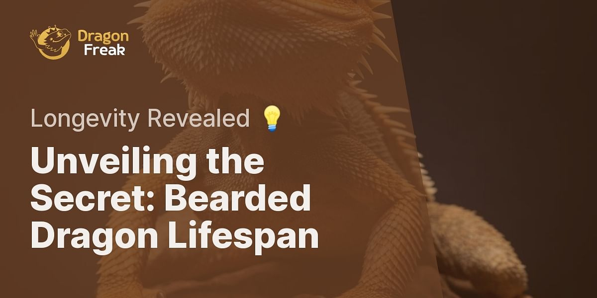 What is the typical lifespan of a bearded dragon?